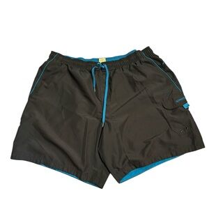 Speedo Charcoal and Teal Swim Trunks‎